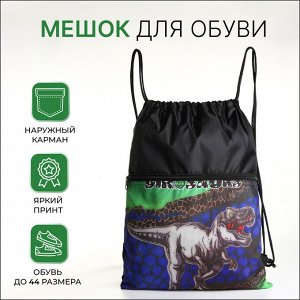 Мешок для обуви на шнурке, с карманом, принтом, размер 45x1x34 см, чёрный/серый