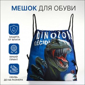 Мешок для обуви на шнурке, с принтом, размер 45x1x34 см, чёрный/синий