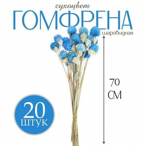 Сухоцвет «Гомфрена шаровидная» набор 20 шт., цвет голубой