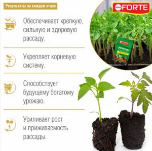 Удобрение Бона Форте Красота Рассады 10мл