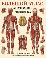 Махиянова Е.Б. Большой атлас анатомии человека