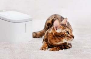 Диспенсер для животных Xiaomi Kitten & Puppy