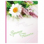 Папка на резинке Berlingo &quot;Spring Flowers&quot; А4, 550мкм, рисунок
