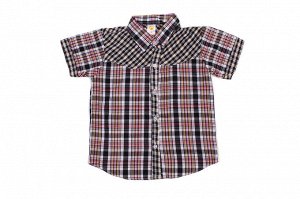 Рубашка Длина изделия: Рубашка с коротким рукавом. Отличный выбор для детского гардероба. Длина изделия на модели: 43 см