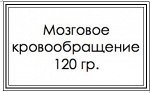Мозговое кровообращение