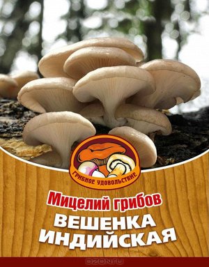 Грибы Мицелий Вешенка Индийская /16 палочек/