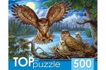 Пазлы 500  Ночные совы