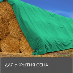 Тент защитный, 6 x 3 м, плотность 120 г/м², УФ, люверсы шаг 1 м, зелёный/серебристый