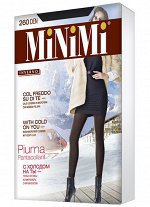 Теплые двуслойные леггинсы 260 ден БОЛЬШОГО РАЗМЕРА