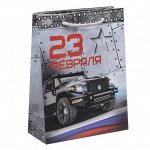 Пакет ламинированный вертикальный «Бронебойного счатья», 18 - 23 - 8 см