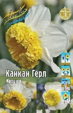 Нарцисс Канкан Гёрл