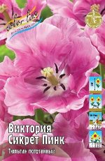 Тюльпан Виктория Сикрет Пинк