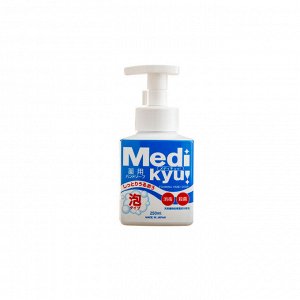 Мыло-пенка "Animo Hand Soap" для рук c антибактериальным эффектом (аромат лайма) 250 мл / 24
