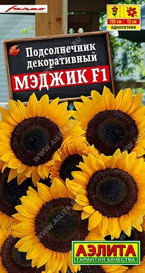 Подсолнечник Мэджик (Код: 86300)