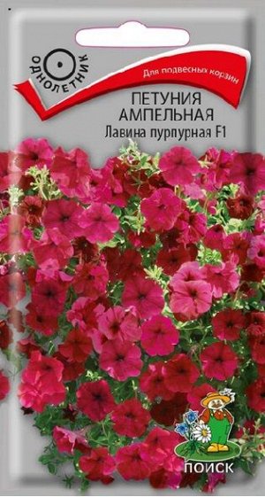 Петуния Лавина Пурпурная (Код: 65563)