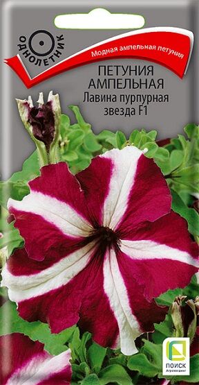 Петуния Лавина Пурпурная Звезда F1 (Код: 65564)
