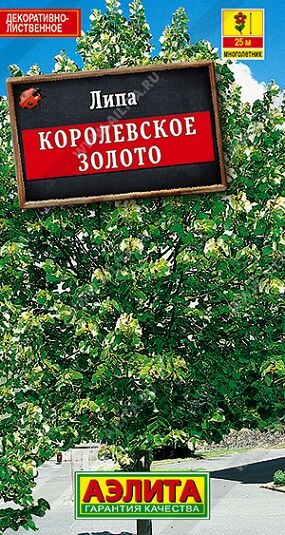 Липа пушистая Королевское золото (Код: 75491)