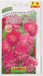 Роза Энжел Вингс китайская (Код: 6739)