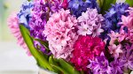 Цветущие гиацинты, лилии, каллы и др