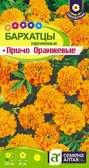 Цветы Бархатцы Примо Оранжевые карликовые/Сем Алт/цп 0,2 гр.