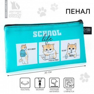 Пенал школьный, текстиль, плоский, 20x8 см «Котик в школе»