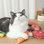 🐶 Ушки, лапки, хвостики. Новинки для Ваших любимцев