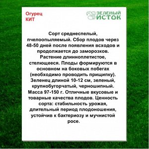 Огурец КИТ (элита) (Зеленый исток)  1г.
