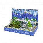 Растущая открытка С Новым годом и Рождеством! (синяя) (состав: контейнер для посадки, агроволокно для выращивания растений, семе