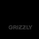 Модная сумка-шоппер GRIZZLY