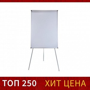 Флипчарт магнитно-маркерный Calligrata СТАНДАРТ, 70x100 см, в алюминиевом профиле, на треноге