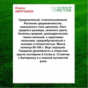 Огурец АМУРЧОНОК (Зеленый исток)  1г.