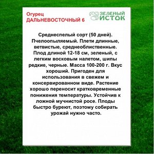 Огурец ДАЛЬНЕВОСТОЧНЫЙ 6 (элита) (Зеленый исток)  1г.