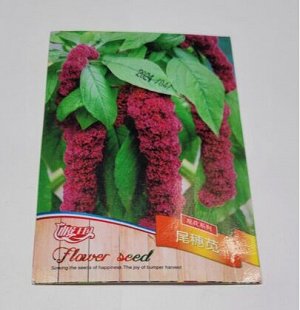Амарант хвостатый (Amaranthus caudatus)
