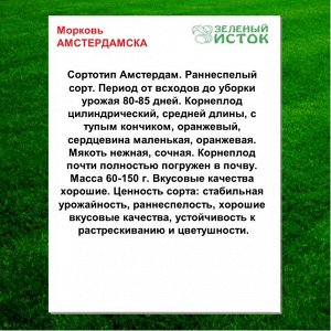 Морковь АМСТЕРДАМСКА (Зеленый исток)  2г.