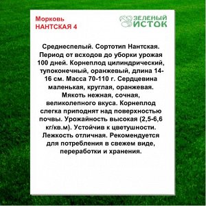 Морковь НАНТСКАЯ 4 (Зеленый исток)  5г.