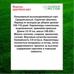 Морковь ШАНТЕНЭ 2461 (Зеленый исток)  5г.