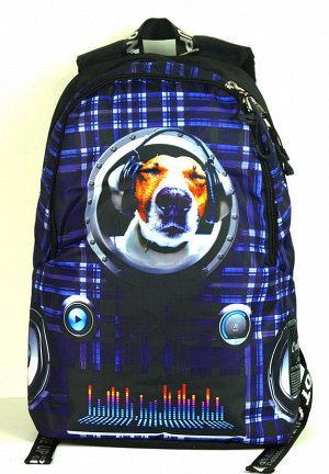 Ufo people Молодежный рюкзак. +Два вместительных отделения. +Подвесной карман для мелочи. +Плотная, поролоновая спинка(стеганая) +Яркие, стойкие принты. + Плотное дно + Вес всего 650 грамм + Двойные п