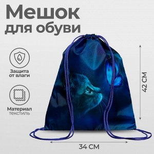 Мешок для обуви 420 х 340 мм, Calligrata МСО-5С, (мягкий полиэстер, плотность 210D), ""Котик""
