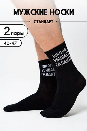 Носки мужские Талант комплект 2 пары