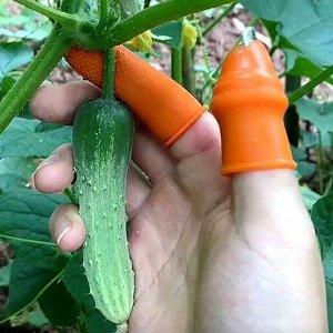 Напальчник с лезвием, садовый нож