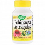 Natures Way, Echinacea Astragalus &amp;amp -  Reishi, 400 mg, 100 Veg. Capsules