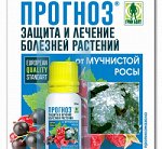Прогноз