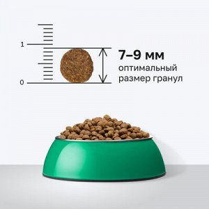 Сухой корм Organix Для стерилизованных кошек с кроликом фруктами и овощами . 0.4 кг. Супер премиум. Россия