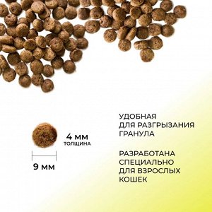 Сухой корм Dailycat для взрослых кошек с индейкой. 0,4 кг. Премиум. Россия