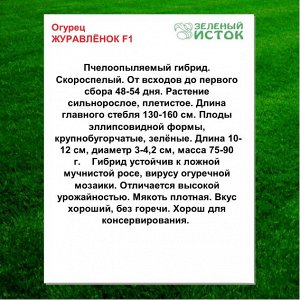 Огурец ЖУРАВЛЁНОК F1 (Зеленый исток)  0,25г.