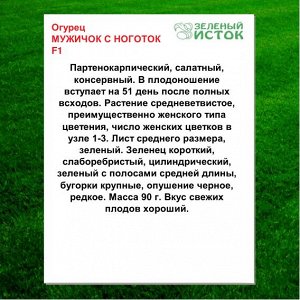 Огурец МУЖИЧОК С НОГОТОК F1 (Зеленый исток)  0,25г.