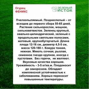 Огурец ФЕНИКС (Зеленый исток)  1г.