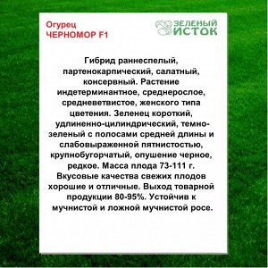 Огурец ЧЕРНОМОР F1 (Зеленый исток)  0,25г.