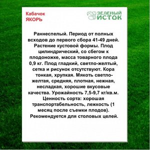 Кабачок ЯКОРЬ (Зеленый исток)  1,5г.
