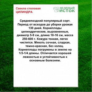 Свекла столовая ЦИЛИНДРА (Зеленый исток)  2,5г.